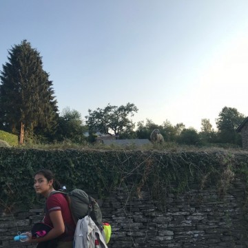 IMG 7295 - Scouts en Gidsen Zaventem 
